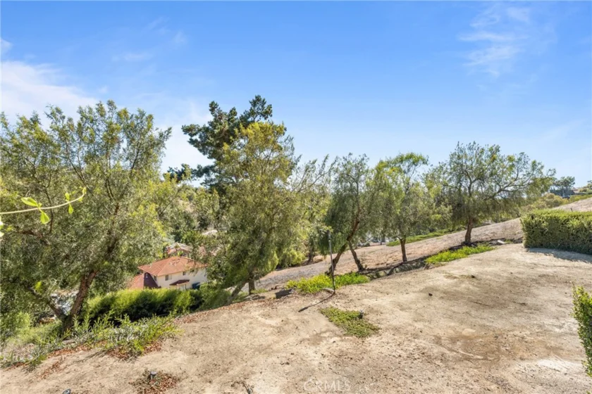 25556 Paseo La Vista photo 35
