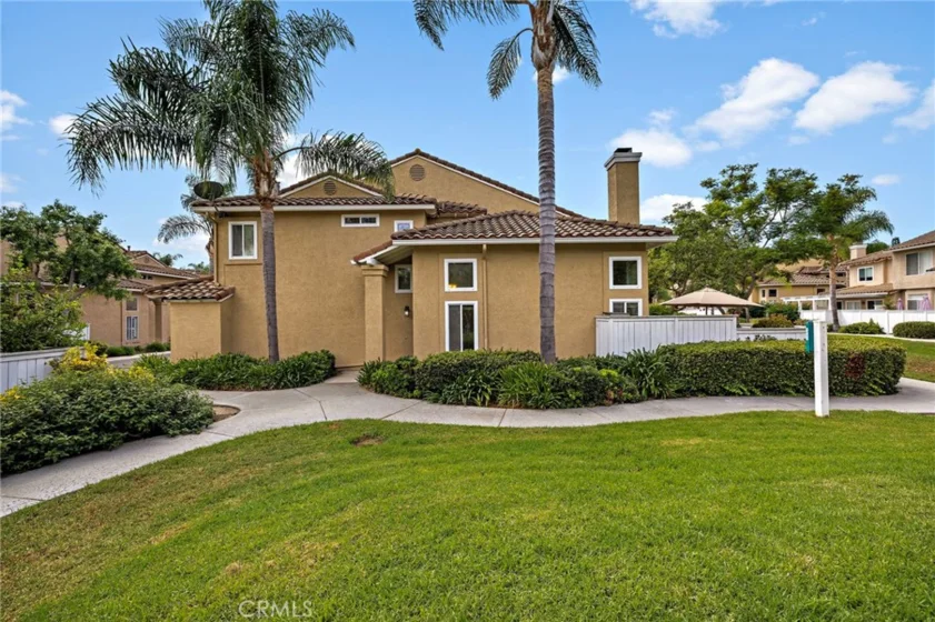 26907 Begonia photo 35