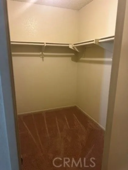 5050 Canyon Crest photo 10