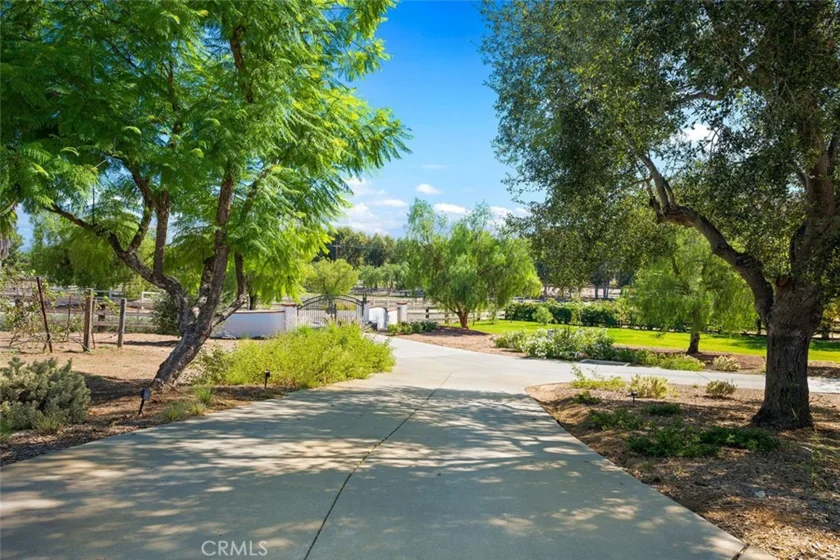 39555 Avenida Bonita photo 58