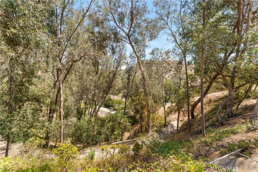 77 Barmore Court photo 36