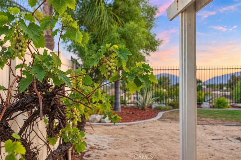 32071 Camino Nunez photo 49