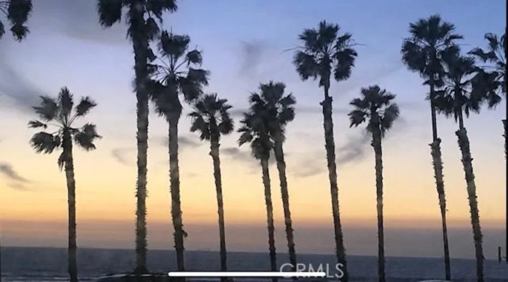 900 Pacific Coast photo 2
