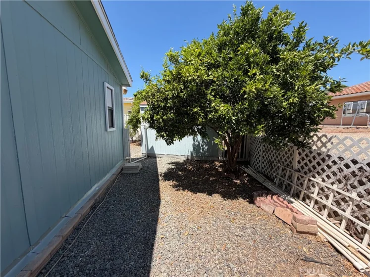 38078 Calle De Amor photo 37
