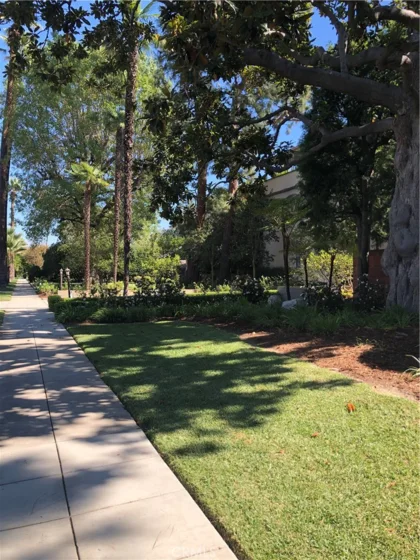 380 S Orange Grove Bl #8 photo 5