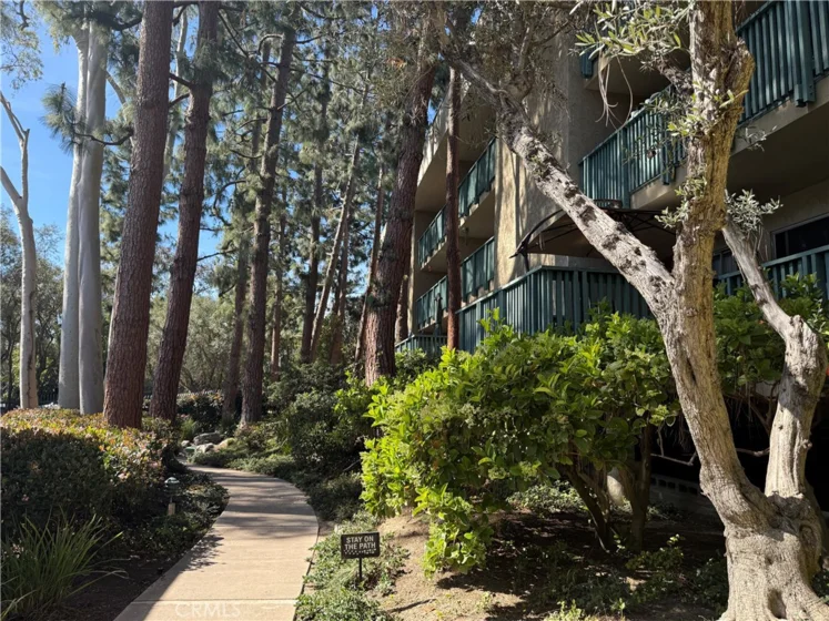 576 N Bellflower Boulevard #236 photo 30