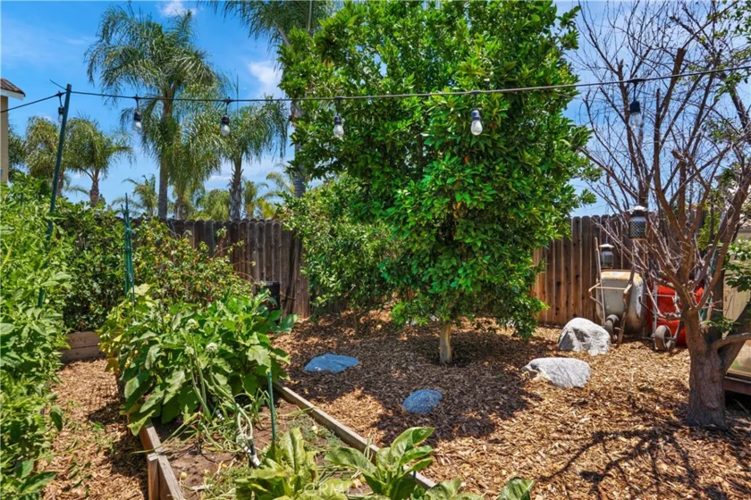 23839 Sweet Pea Court photo 58