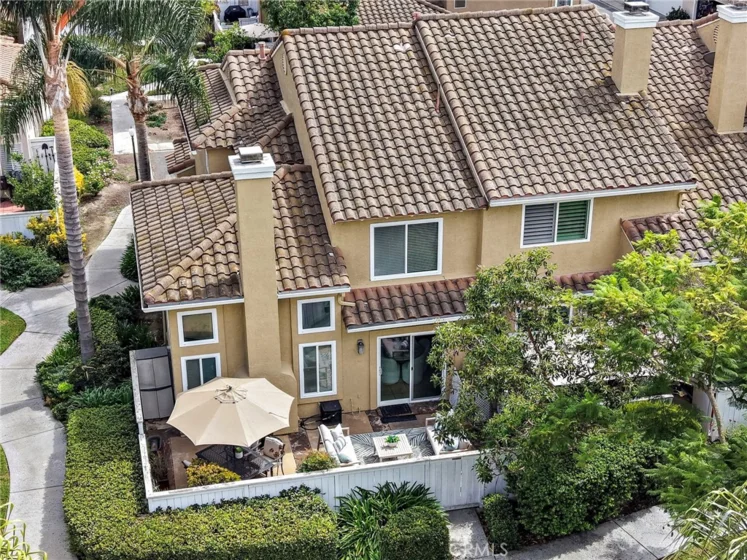 26907 Begonia photo 10