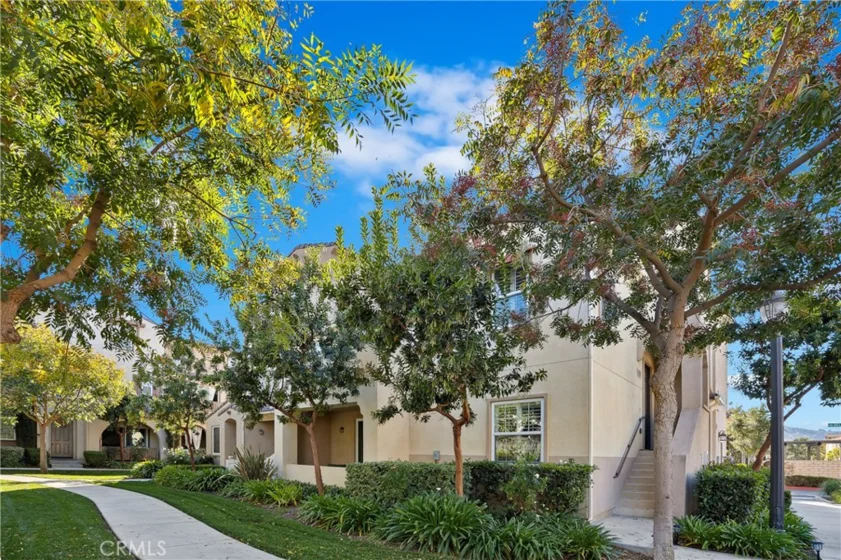 31205 Strawberry Tree photo 1