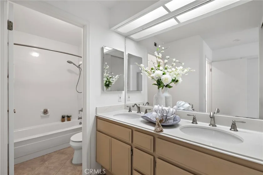 26907 Begonia photo 33