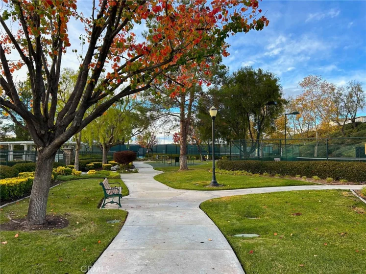 30296 Mondavi Circle photo 29