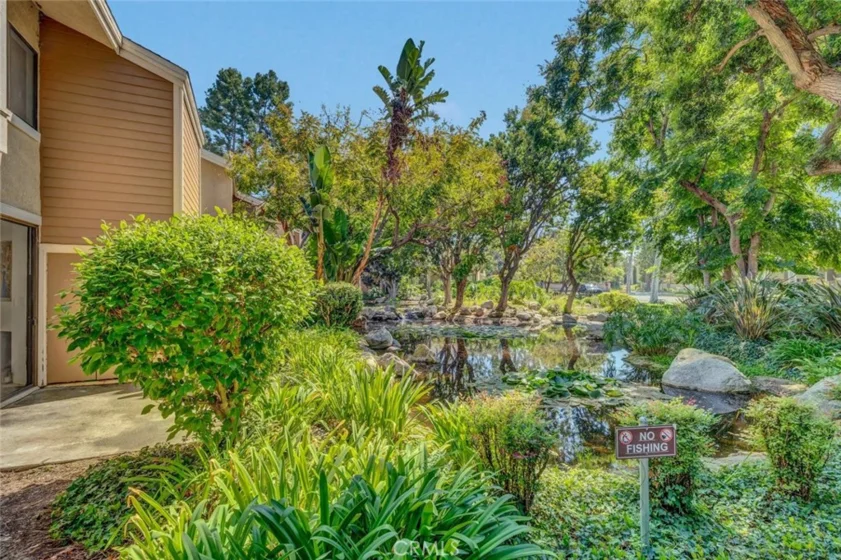 247 Pineview photo 3