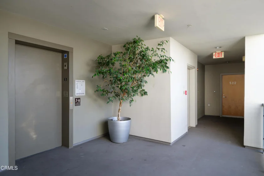 159 W Green Street #502A photo 35