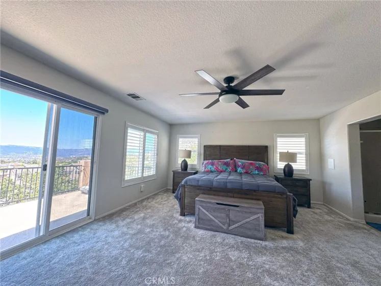 26784 Lemon Grass photo 36