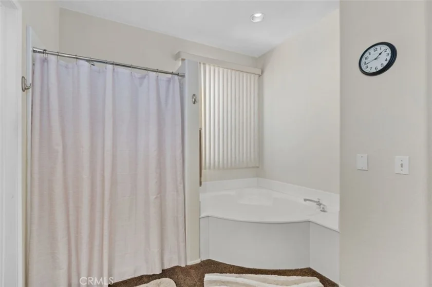 24700 Corte Gambino photo 20