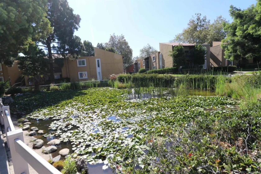 17081 W Bernardo Drive #107 photo 20
