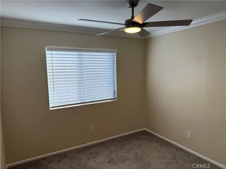 4 Sherrelwood Court photo 12