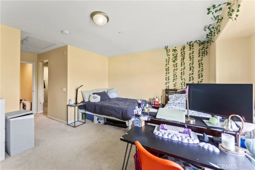 1123 Abelia photo 14