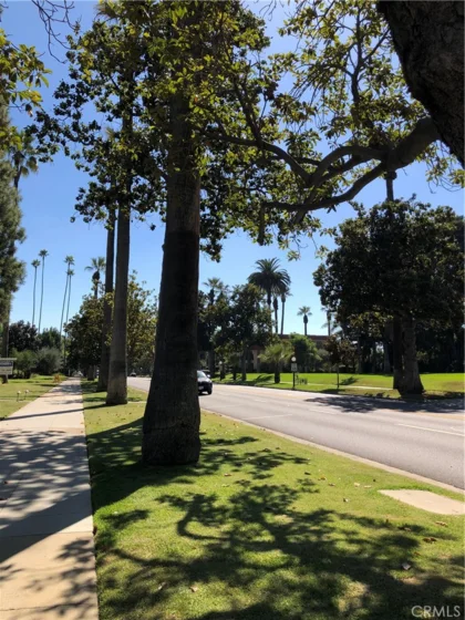 380 S Orange Grove Bl #8 photo 3