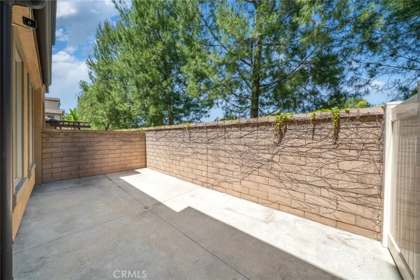 182 Finch photo 32