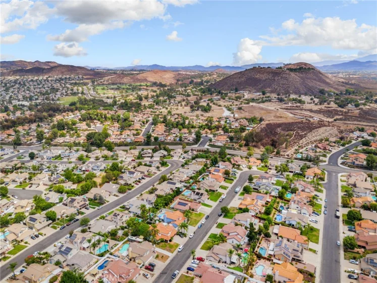 25401 Lacebark photo 55