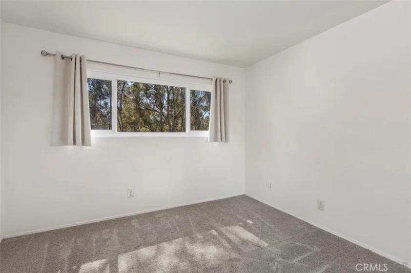 10541 Caminito Basswood photo 27