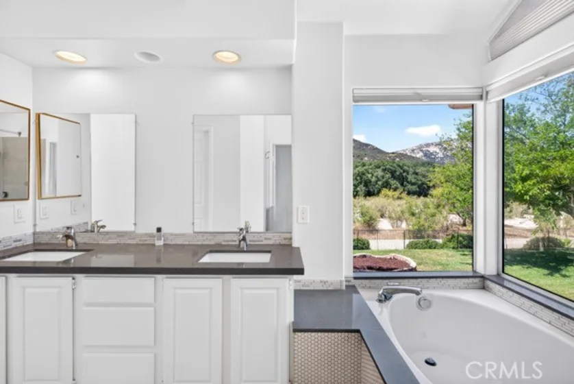 30946 Shaba Circle photo 28