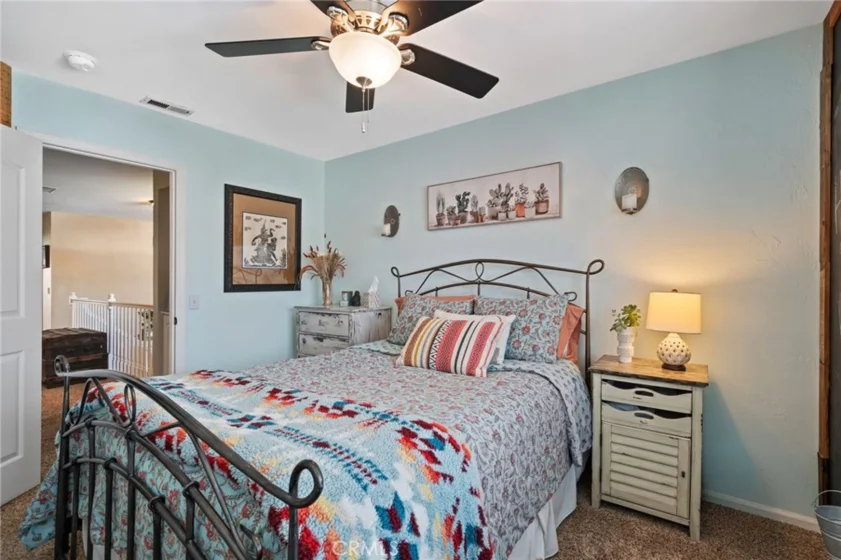 25401 Lacebark photo 34