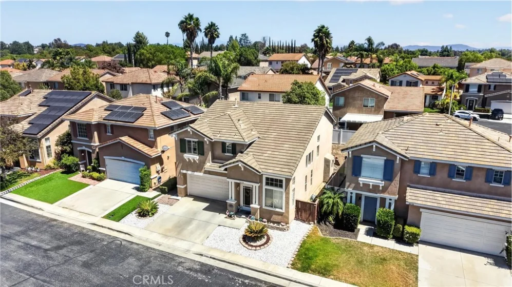42124 Orange Blossom photo 3