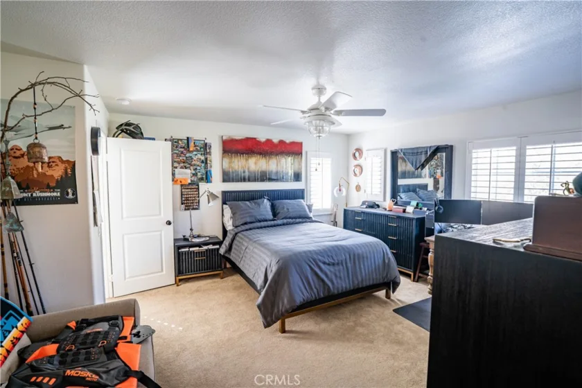 26775 Chamomile photo 41