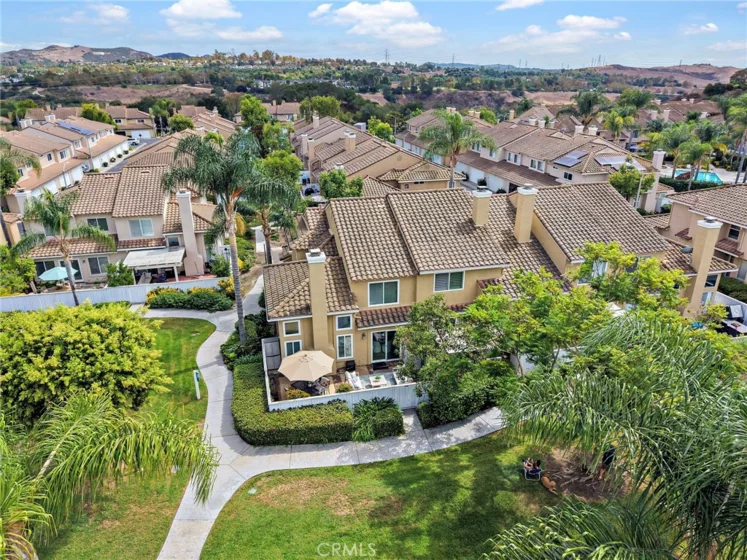 26907 Begonia photo 11