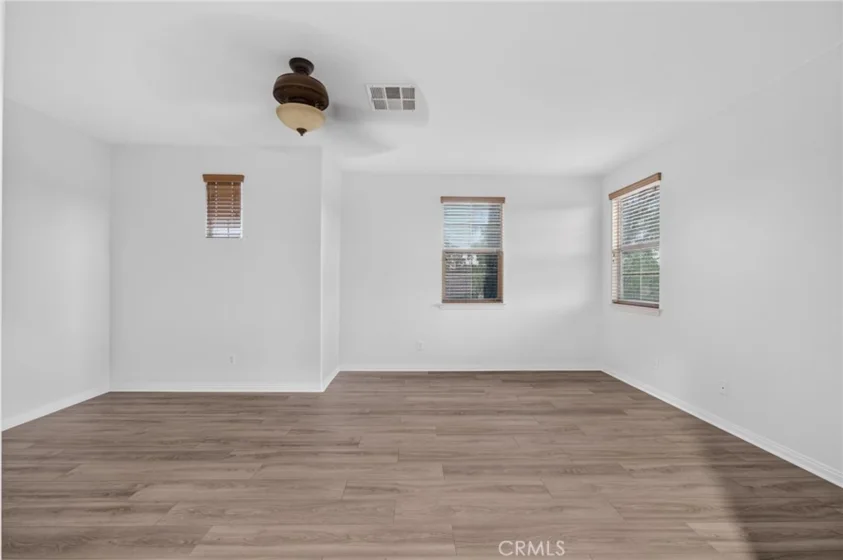 30780 Olympia Rose photo 30