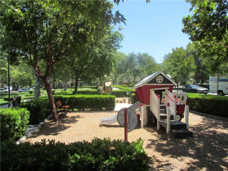 65 Figtree photo 46