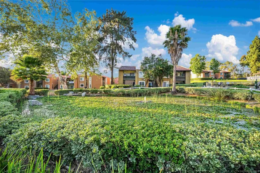 17195 W Bernardo Drive #101 photo 16