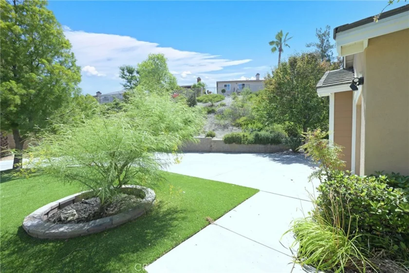 26784 Lemon Grass photo 12