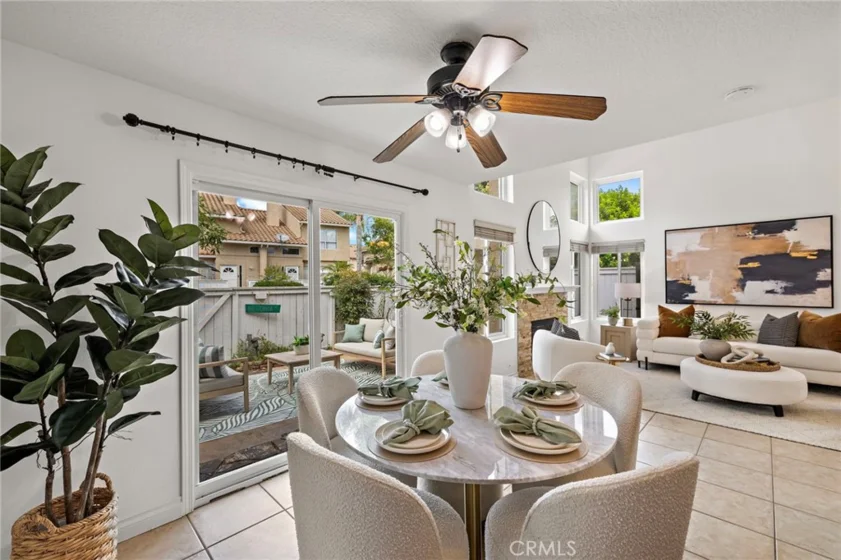 26907 Begonia photo 3