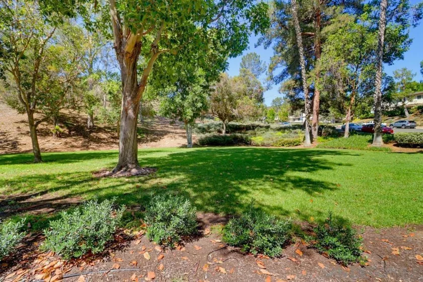 8391 Suntree Place photo 29