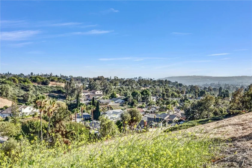 25594 Paseo La Cresta photo 5