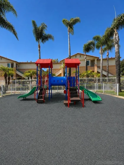 11456 Via Rancho San Diego #214 photo 24