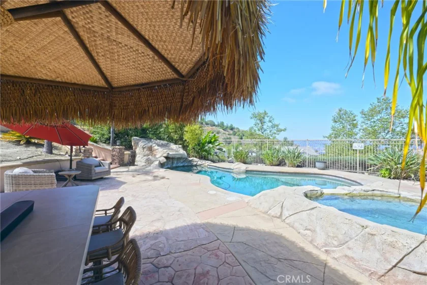 26784 Lemon Grass photo 47
