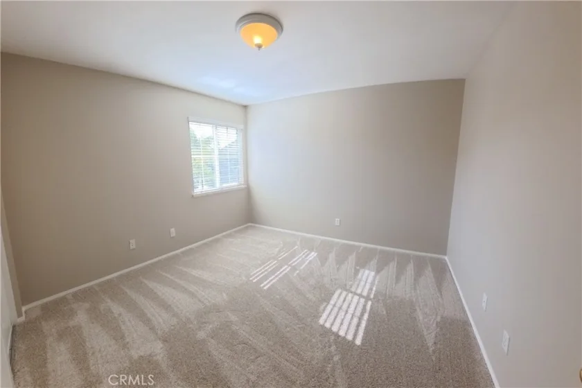 37936 Sawleaf Place photo 22
