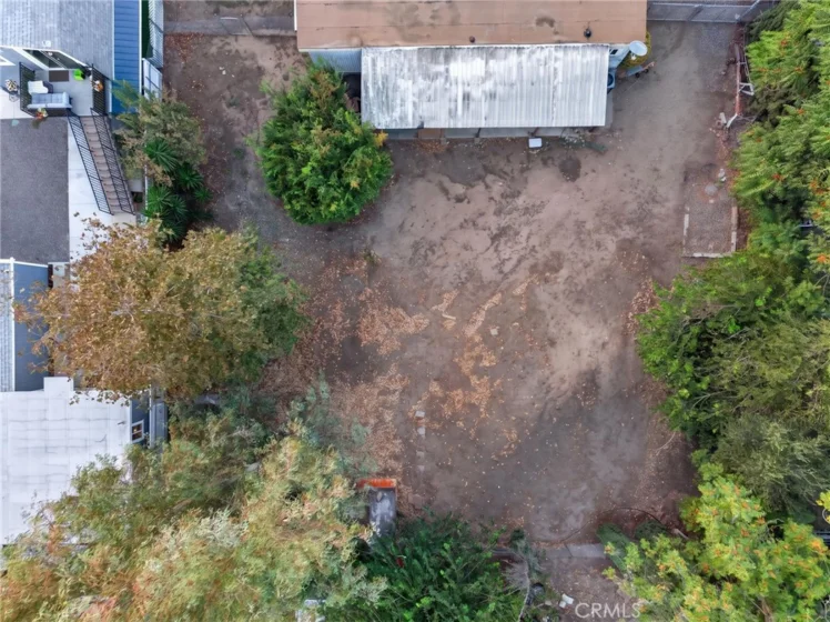 41926 Juniper photo 28