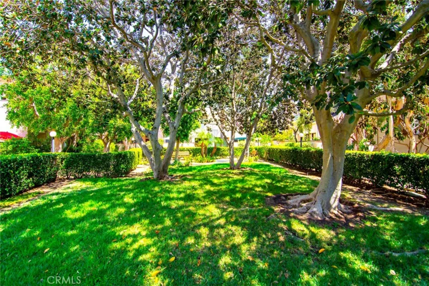 18739 Hatteras Street #55 photo 39