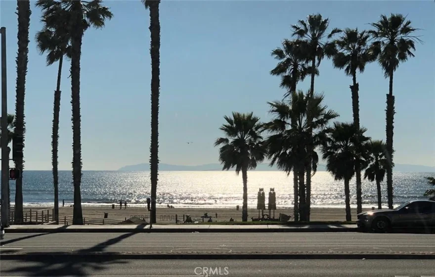 900 Pacific Coast photo 1