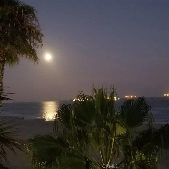 1310 E Ocean #405 photo 15