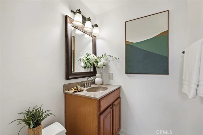 26907 Begonia photo 20