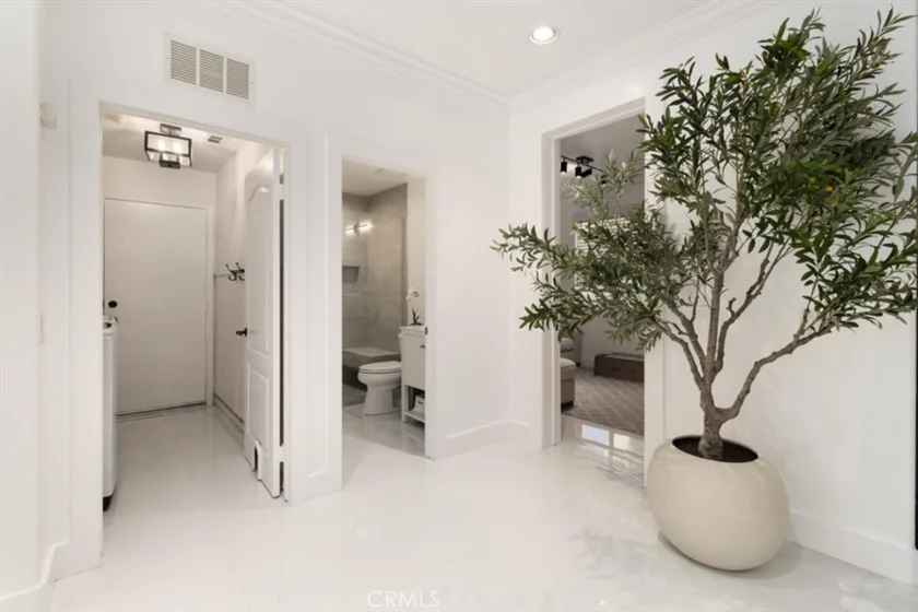 27569 Bottle Brush photo 16