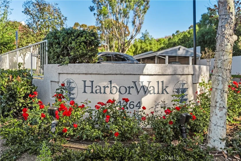 34264 Camino Capistrano #309 photo 1