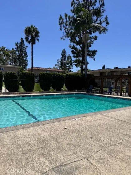 831 Las Lomas Drive photo 8