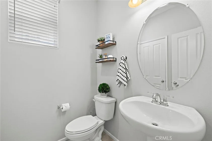 41461 Winterberry photo 16
